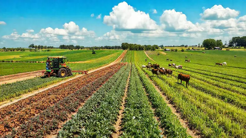 Paisaje agrícola moderno con tecnología y sostenibilidad