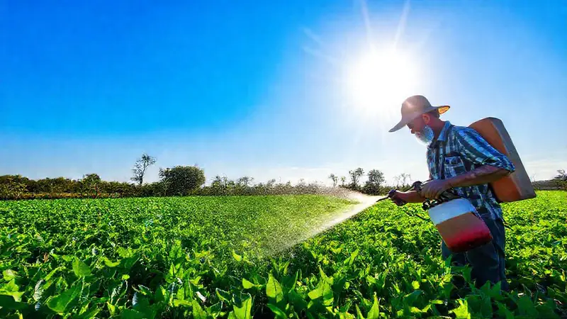 Campo verde con cultivos y agricultura sostenible