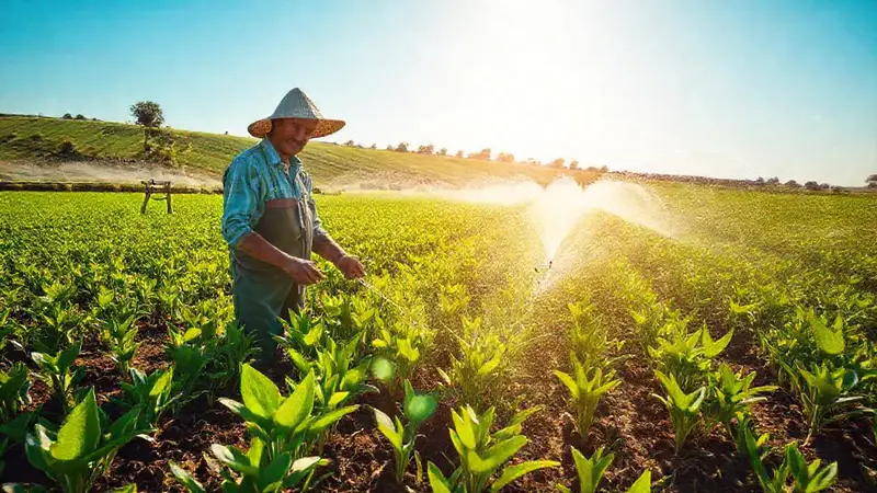 Un agricultor usa tecnología sostenible en su campo