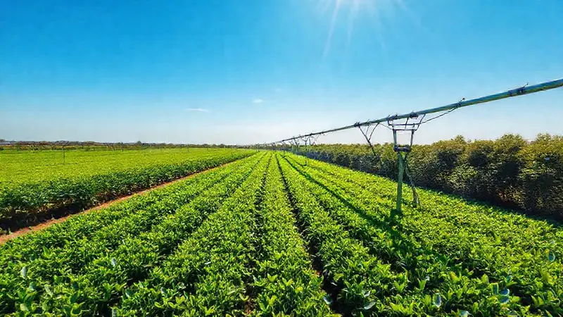 Campo agrícola vibrante con tecnología de riego