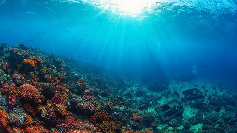 Paisaje marino vibrante con vida diversa