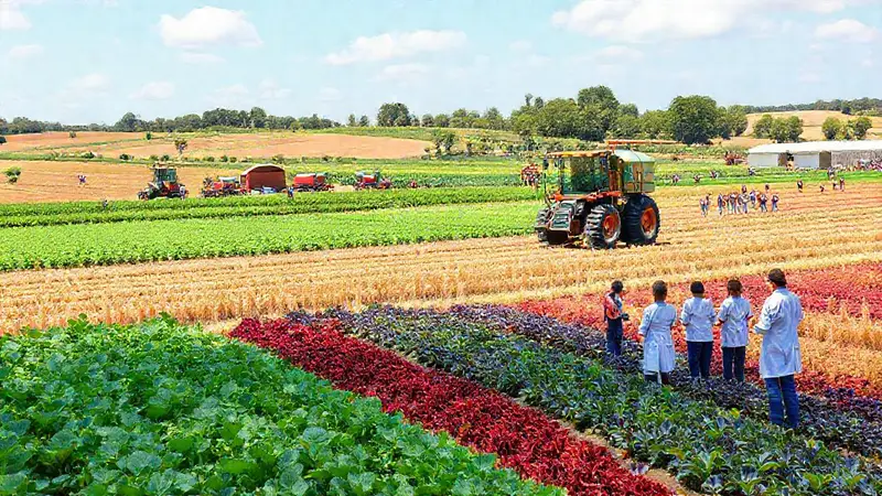 Paisaje agrícola vibrante con innovación y comunidad