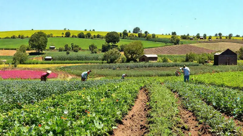 Granja sostenible con cultivos y ecosistemas saludables