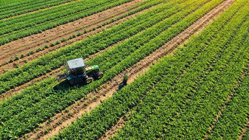 Vista aérea de campos agrícolas sostenibles